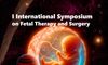 Cceres reunir en el CCMIJU a referentes internacionales de la ciruga fetal y robtica