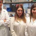 Investigadores UEx identifican papel esencial gen STIM1 en funcin mitocondrial de clulas