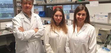 Investigadores UEx identifican papel esencial gen STIM1 en función mitocondrial de células