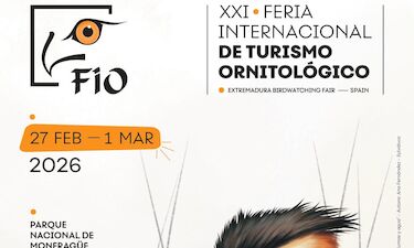 La ilustradora extremeña Ana Fernández realiza el cartel de la FIO 2026