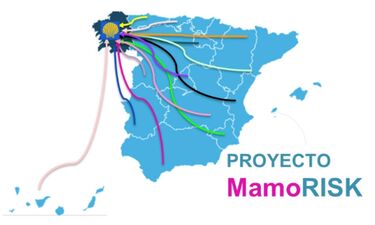Extremadura estará en 1er estudio español para predecir riesgo personalizado cáncer mama