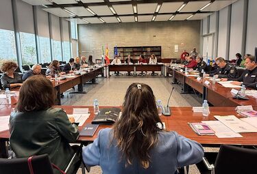 Comisión para la Prevención de la Violencia de Género analiza cambio normas red recursos