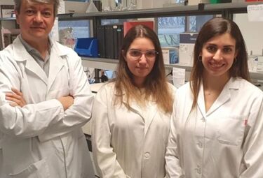 Investigadores UEx identifican papel esencial gen STIM1 en función mitocondrial de células