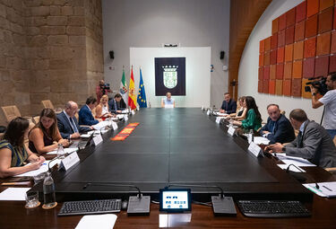 Junta otorgará 12,3M€ para concertar 236 plazas centros y servicios habilitación funcional