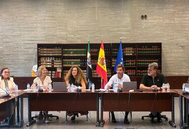 Sectorial Personal Docente aprueba crear equipos específicos a alumnado altas capacidades