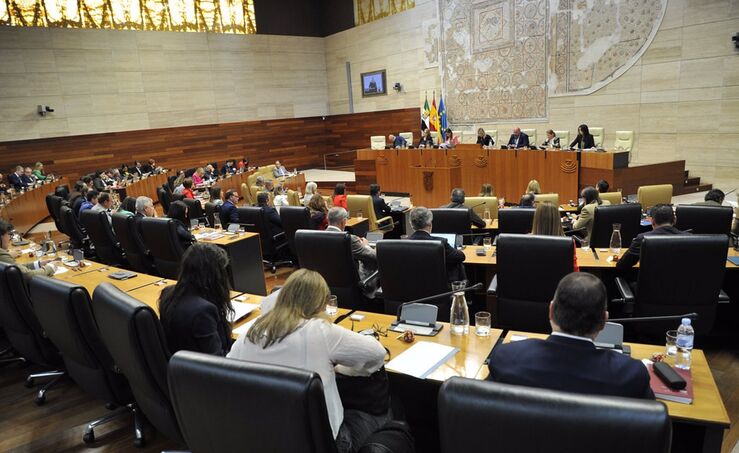La Asamblea cumple 41 aos de parlamentarismo democracia y trabajo incansable