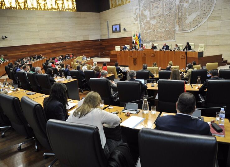 La Asamblea cumple 41 aos de parlamentarismo democracia y trabajo incansable