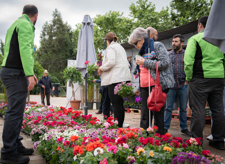 El I Mercado de las Flores se celebra en el Paseo de Roma de Mrida con gran acogida