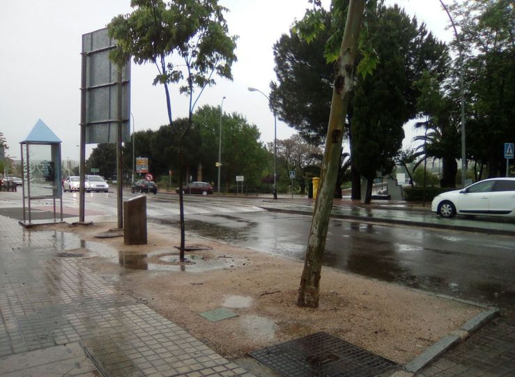 Extremadura registr en enero unas precipitaciones del 133 sobre lo normal 