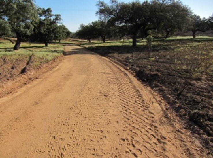 La Junta destinar seis millones en actuaciones en caminos rurales pblicos