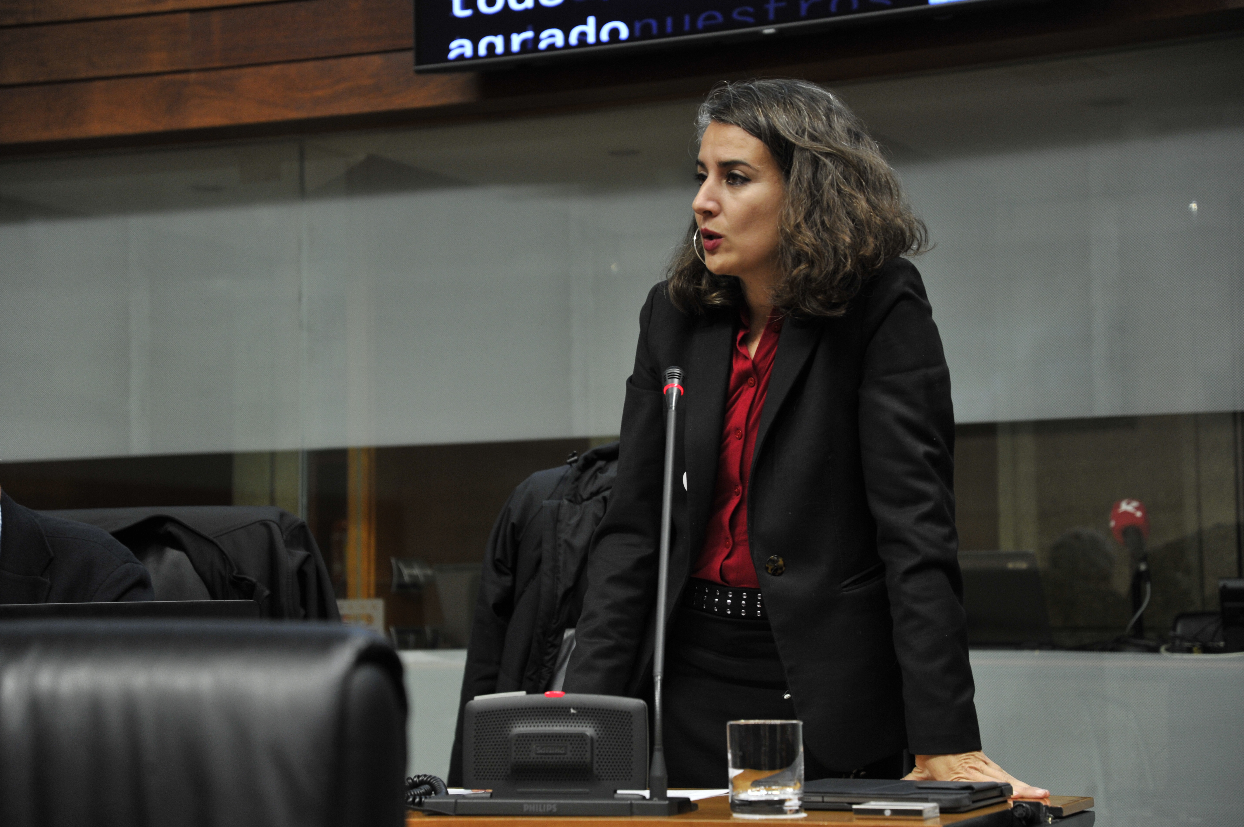 Irene de Miguel en una reciente intervención en el Pleno de la Asamblea.