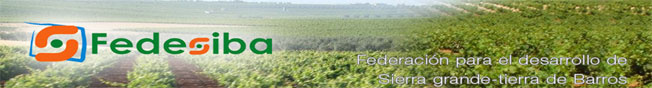 banner publicidad FEDESIBA