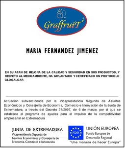 MARIA FERNANDEZ JIMENEZ MARIA FERNANDEZ JIMENEZ