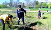 El proyecto educativo Claustro de Barrio plantar rboles en San Roque en Badajoz