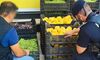 Investigados dueos de dos establecimientos en Badajoz y Mrida por vender fruta robada 