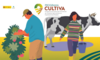 El MAPA abre el plazo de solicitudes para participar en el programa Cultiva 2026