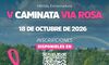 La Polica Local de Mrida realizar cortes puntuales de trfico en V Caminata Va Rosa