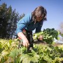 Campaa de FEXAMUR busca visibilizar papel de las mujeres en el sector agroalimentario