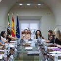 Consejo Extremeo Participacin Mujeres creado rgano consultivo en polticas igualdad Consejo Extremeo Participacin Mujeres creado rgano consultivo en polticas igualdad