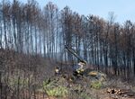 Bruselas propone movilizar 120M para ayudar a Espaa a recuperarse de los incendios