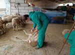Extremadura registra variacin interanual de actividad global del 24 en trminos reales