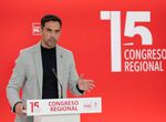 Manuel Borrego ser el senador por designacin autonmica presentado por el PSOE