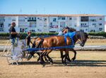 La Antigua de Mrida recibe con los brazos abierto la llegada de Emerita Lvdica