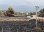 Vox El campo est en una situacin crtica y aboga por soluciones reales contra incendios