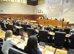 Plantillas del SES los daos en la cereza y la vivienda a debate en pleno de la Asamblea