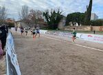 Seleccin atletas Diputacin Cceres logra 10 trofeos en el VII Cross de Alcal de Henares