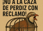 Ecologistas Extremadura rechaza la declaracin de la caza de perdiz con reclamo como BIC