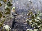 Aprobada cotizacin adicional para que agentes y bomberos forestales anticipen jubilacin