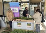 Cceres 2031 reparte ms de 1100 plantas para reforzar biodiversidad urbana de la ciudad