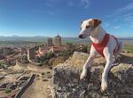 La gua Extremadura con perro promociona la regin como destino amigable para mascotas