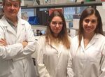 Investigadores UEx identifican papel esencial gen STIM1 en funcin mitocondrial de clulas