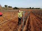 La Eurocmara pide ms financiacin y garantas para las mujeres en reas rurales