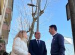 El Ayuntamiento de Cceres invierte 600000 euros en reforzar la iluminacin de la ciudad