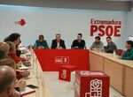 Comit Regional PSOE Extremadura activar calendario primarias y Congreso Extraordinario