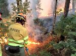 Entre abril y mayo oposiciones para 195 bomberos forestales y 29 agentes de Medio Natural