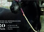 El sbado el Centro de Reproduccin Equina de la UEx celebra su 20 aniversario