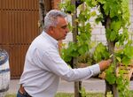 Tradicin e innovacin se fusionan de la mano de Juan Leandro Romero un artesano del vino