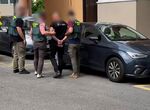 Detenido en San Sebastin un seguidor de la Real por conduccin temeraria en Extremadura 