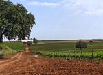 Blogueros especializados conoce experiencias de Ruta del Vino y Cava Ribera del Guadiana