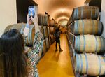 Turoperadores de Portugal y Espaa conocern la Ruta del Vino y Cava Ribera del Guadiana