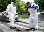 Ayuntamiento de Mrida pone en marcha una nueva campaa de desratizacin en toda la ciudad