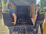 Dos detenidos por robar cableado de cobre de lneas de telecomunicacin de Pinofranqueado