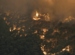 Ecologistas en Accin critica que Fuentes de Len haya adelantado los fuegos artificiales 