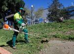 El Ayuntamiento de Mrida realiza tareas de desbroce de 65 hectreas en barrios y zonas