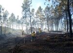 Extremadura pide a Gobierno consenso en decreto prevencin laboral en incendios forestales