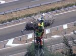 Bomberos Diputacin Badajoz rescatan en Lobn a una cigea atrapada en su nido